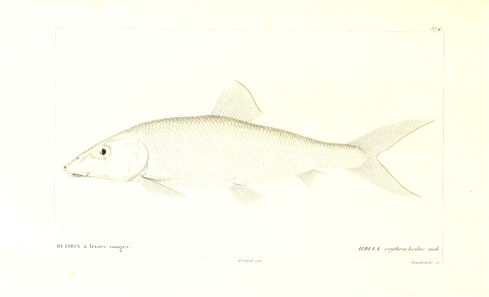 n154_w1150