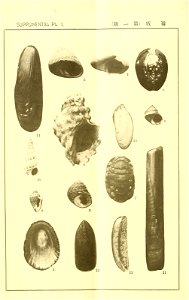 n115_w1150