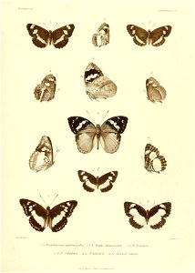 n428_w1150