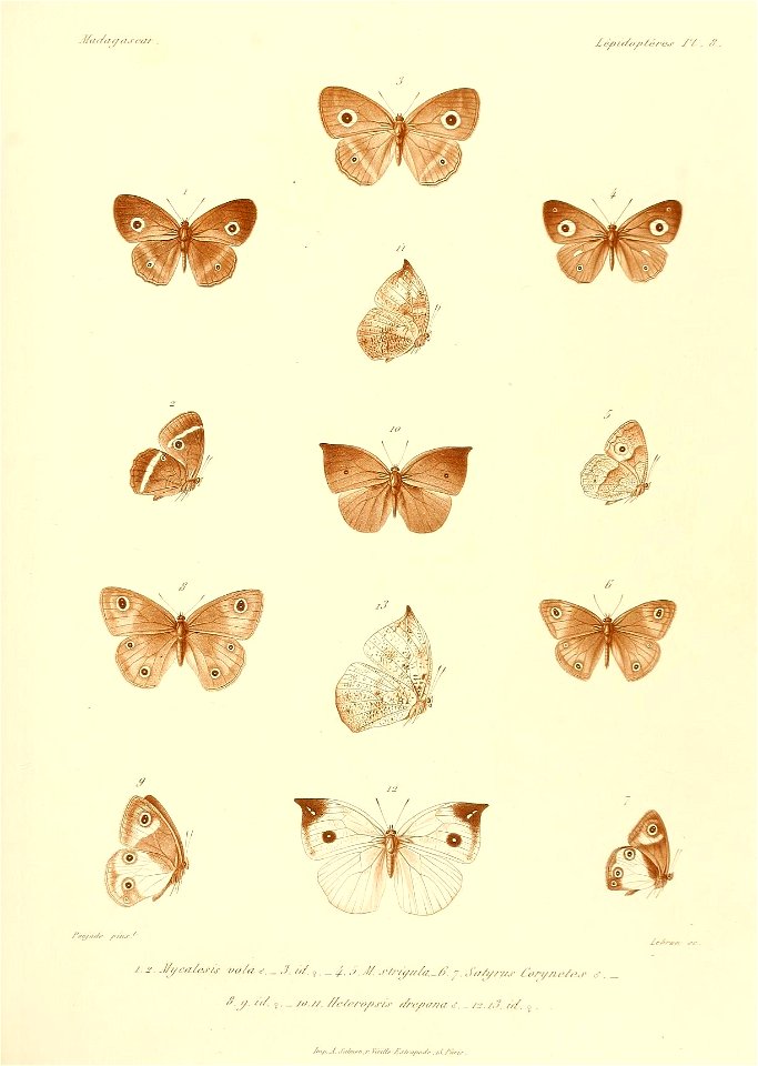 n398_w1150