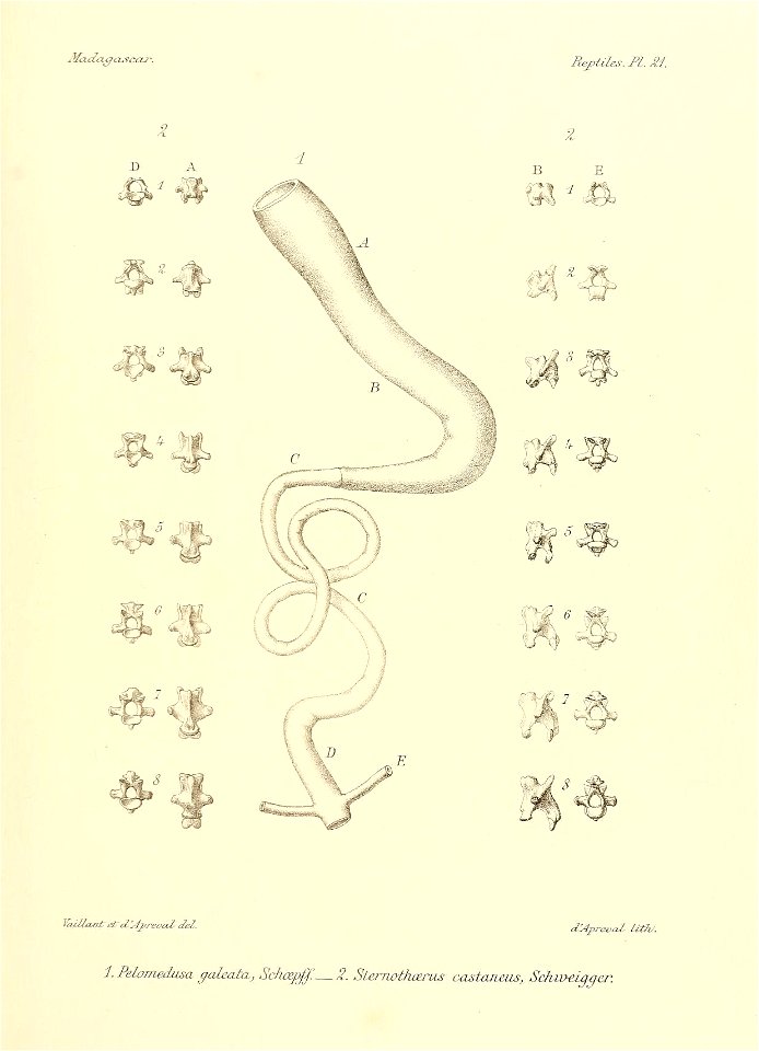 n150_w1150