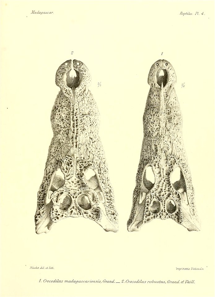 n108_w1150