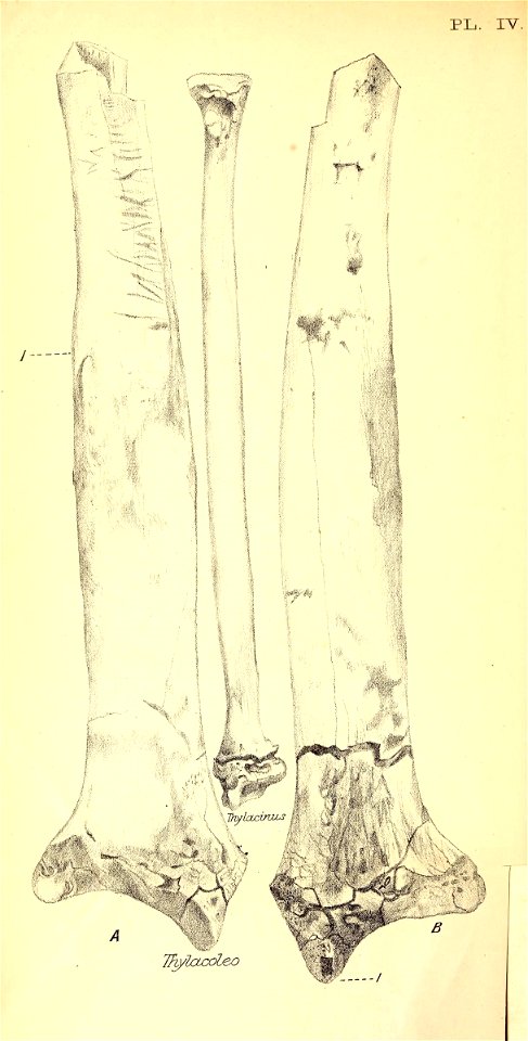 n259_w1150
