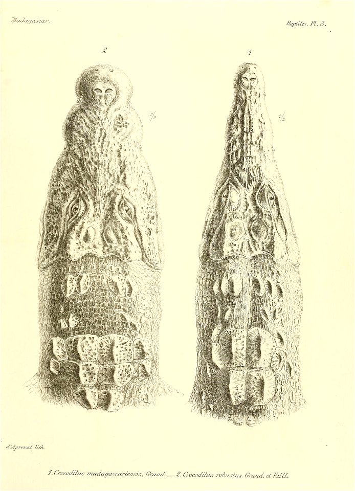 n106_w1150