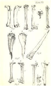 n352_w1150