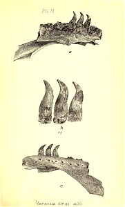 n256_w1150