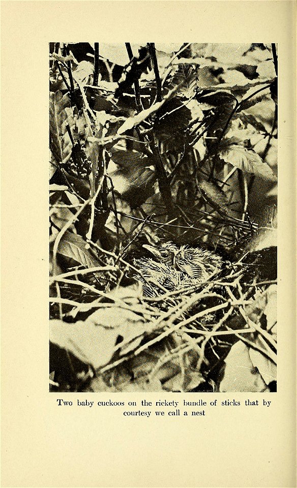 n269_w1150