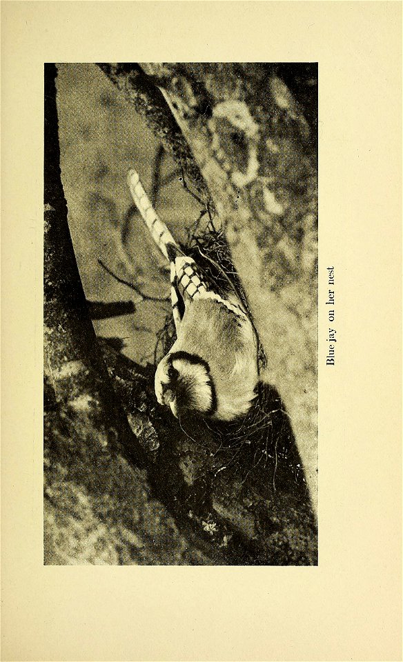 n206_w1150