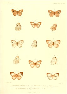 n394_w1150