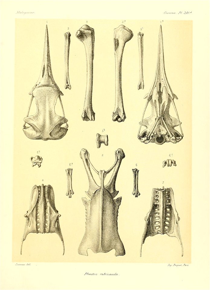 n192_w1150
