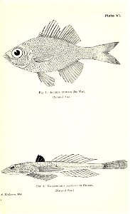 n720_w1150