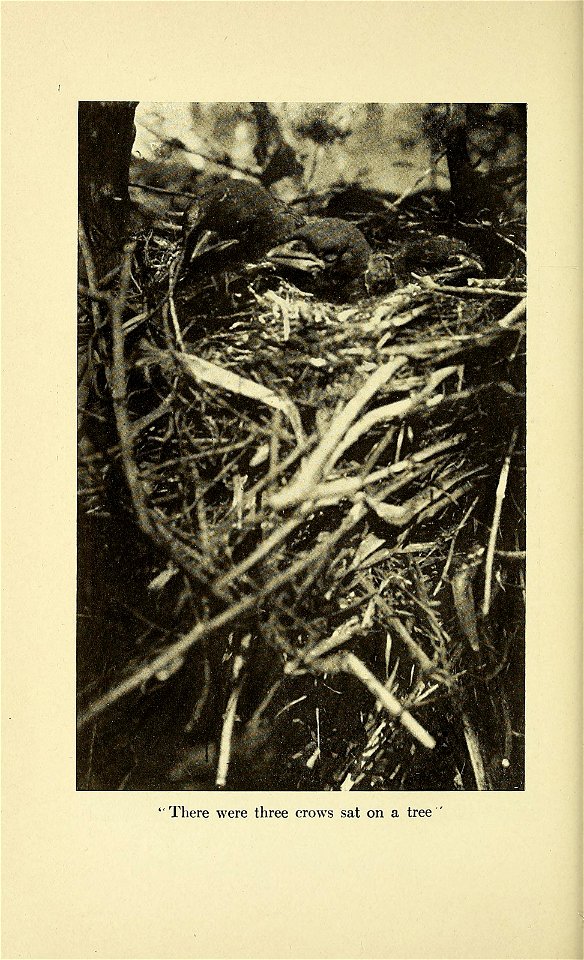 n197_w1150
