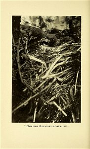 n197_w1150