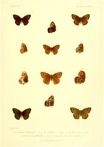 n18_w1150