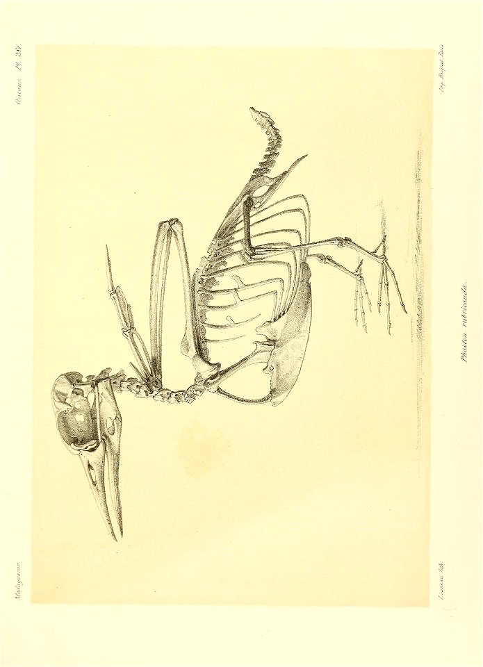 n190_w1150