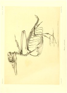 n190_w1150