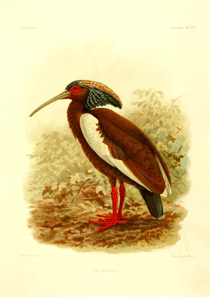 n40_w1150