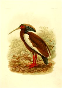 n40_w1150