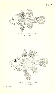 n718_w1150