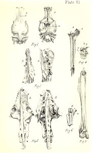 n348_w1150