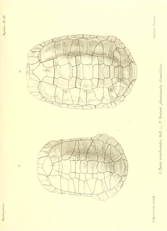 n138_w1150
