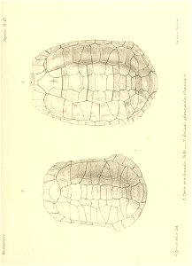 n138_w1150