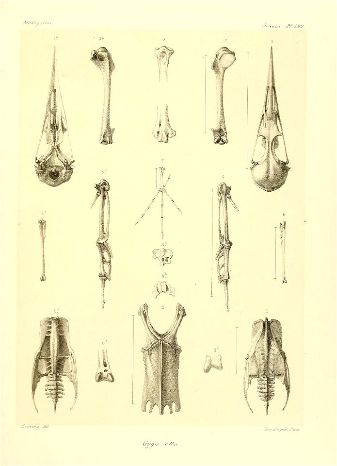 n218_w1150