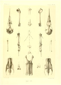 n218_w1150