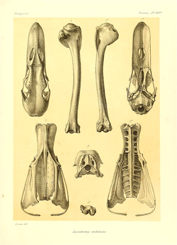 n158_w1150