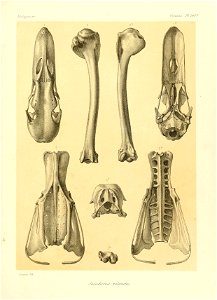 n158_w1150