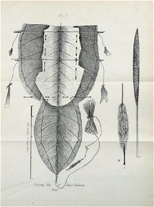 n245_w1150