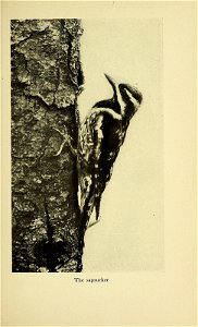 n258_w1150