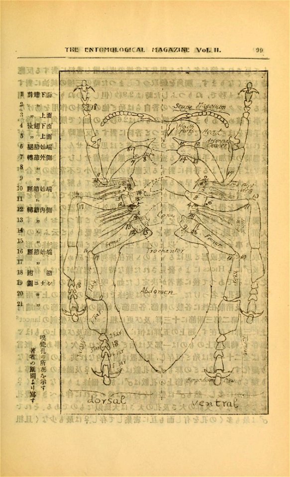 n332_w1150
