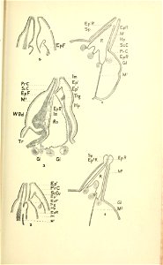 n116_w1150