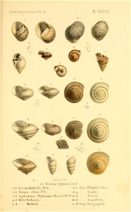 n178_w1150