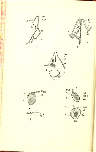 n115_w1150