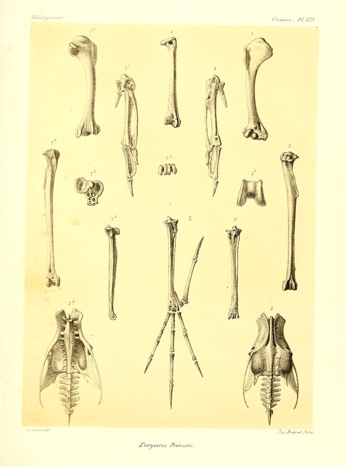 n212_w1150