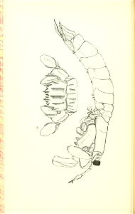 n93_w1150