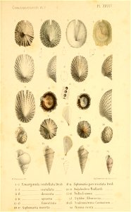 n172_w1150