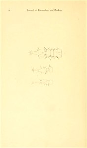n17_w1150