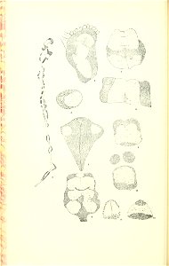 n91_w1150