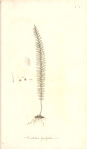 n46_w1150