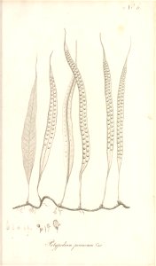 n54_w1150