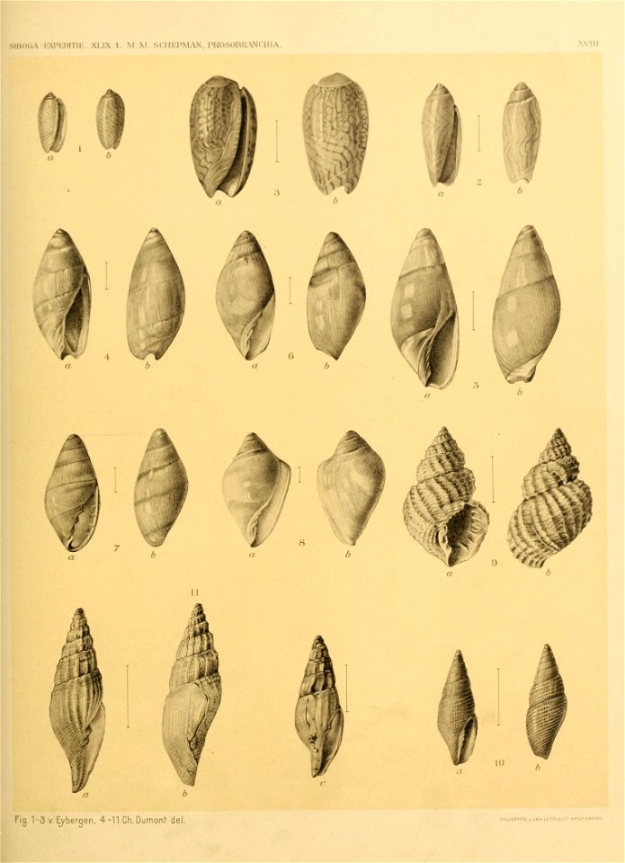 n132_w1150