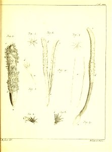 n270_w1150