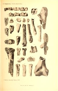 n192_w1150