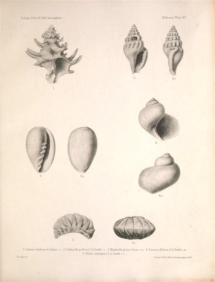 n68_w1150