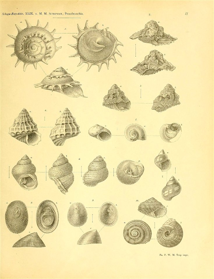 n126_w1150