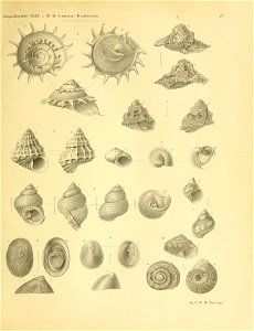 n126_w1150