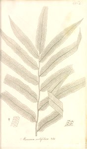 n50_w1150